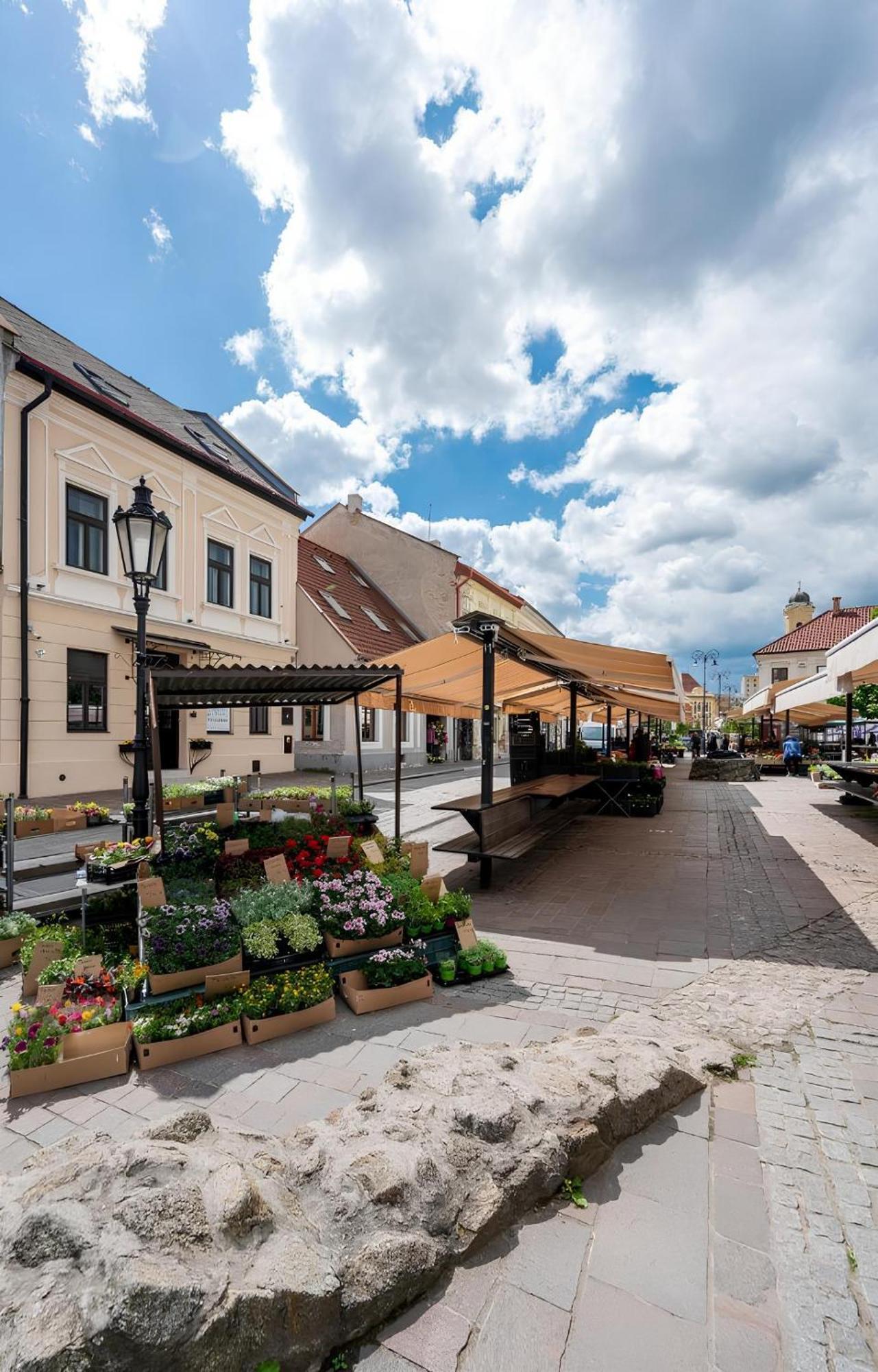 Hotel Zlate Кошице Экстерьер фото